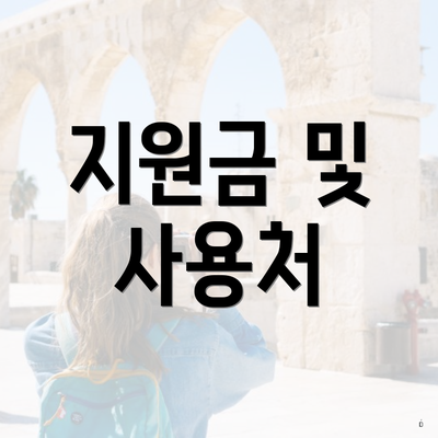 지원금 및 사용처