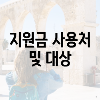 지원금 사용처 및 대상