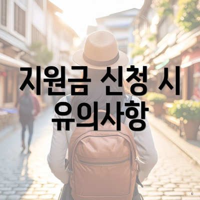 지원금 신청 시 유의사항