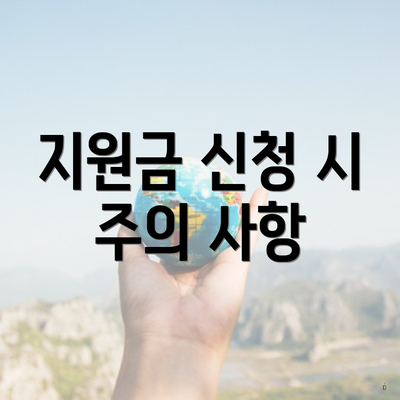지원금 신청 시 주의 사항