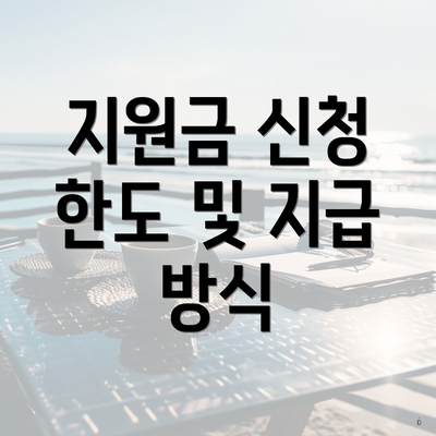 지원금 신청 한도 및 지급 방식
