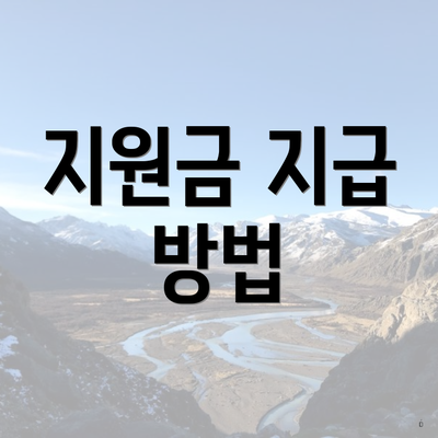 지원금 지급 방법