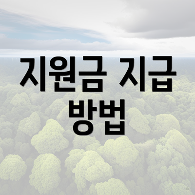 지원금 지급 방법