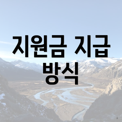 지원금 지급 방식