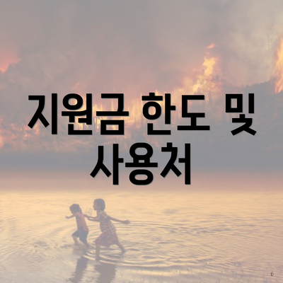 지원금 한도 및 사용처
