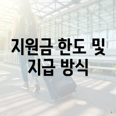 지원금 한도 및 지급 방식