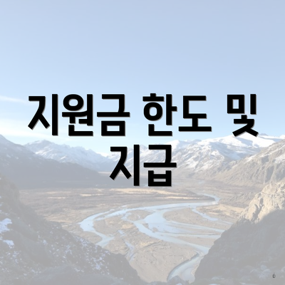 지원금 한도 및 지급