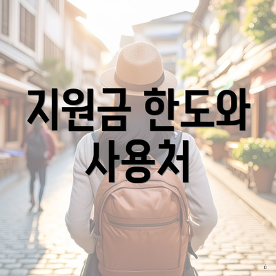 지원금 한도와 사용처