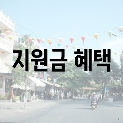 지원금 혜택