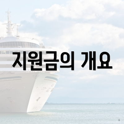 지원금의 개요