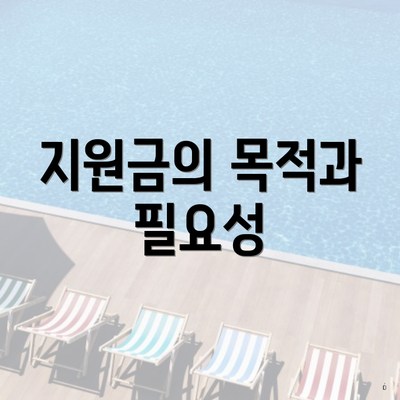 지원금의 목적과 필요성