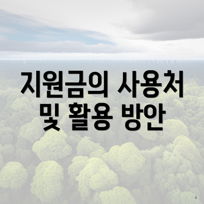 지원금의 사용처 및 활용 방안