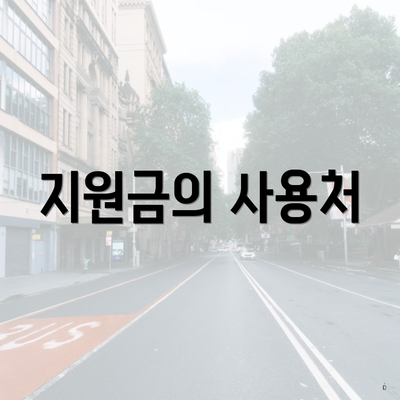 지원금의 사용처