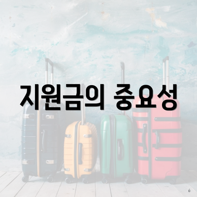 지원금의 중요성