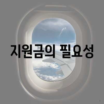 지원금의 필요성