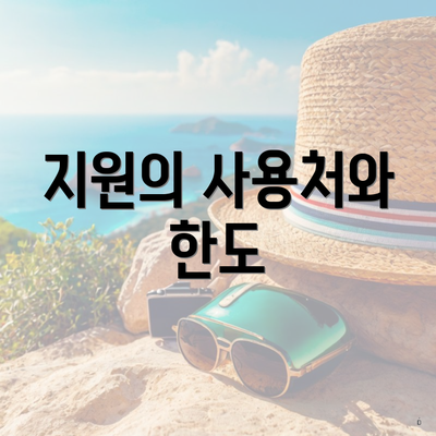 지원의 사용처와 한도