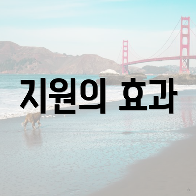 지원의 효과