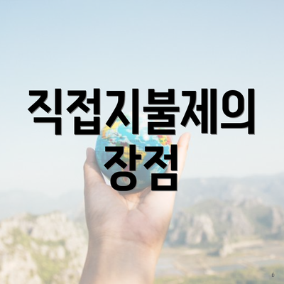 직접지불제의 장점