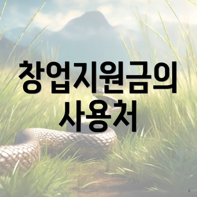창업지원금의 사용처
