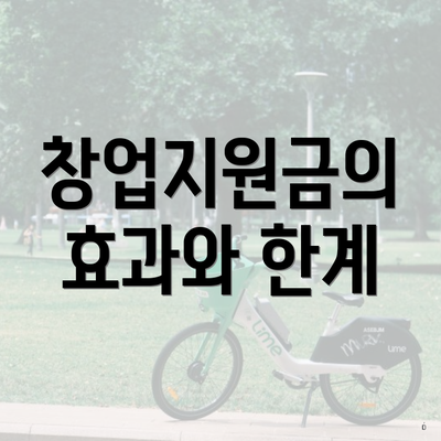 창업지원금의 효과와 한계
