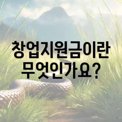 창업지원금이란 무엇인가요?