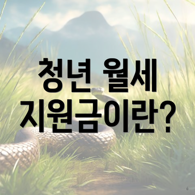 청년 월세 지원금이란?