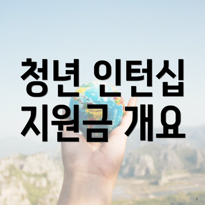 청년 인턴십 지원금 개요