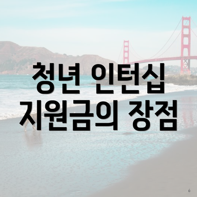 청년 인턴십 지원금의 장점