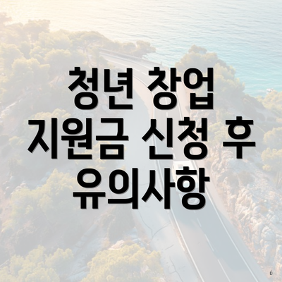 청년 창업 지원금 신청 후 유의사항