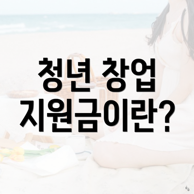 청년 창업 지원금이란?