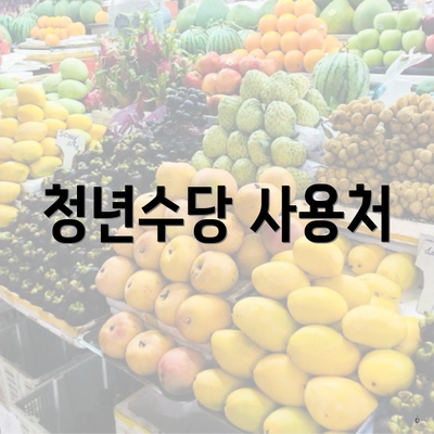 청년수당 사용처