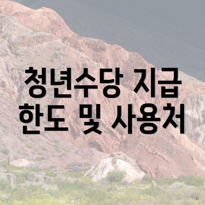 청년수당 지급 한도 및 사용처