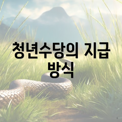 청년수당의 지급 방식