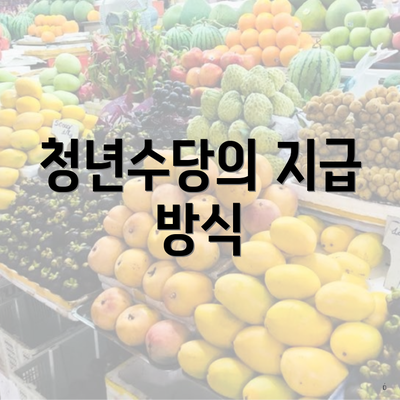 청년수당의 지급 방식