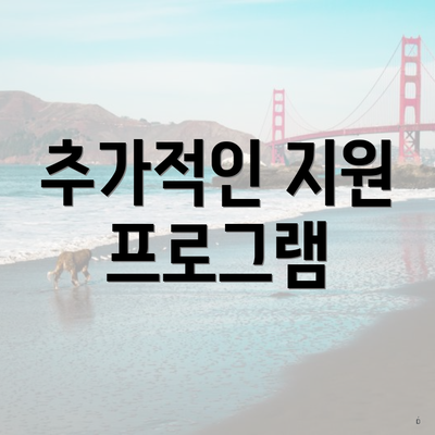 추가적인 지원 프로그램