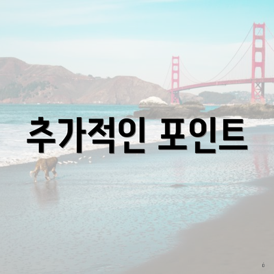추가적인 포인트