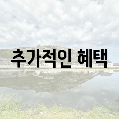 추가적인 혜택