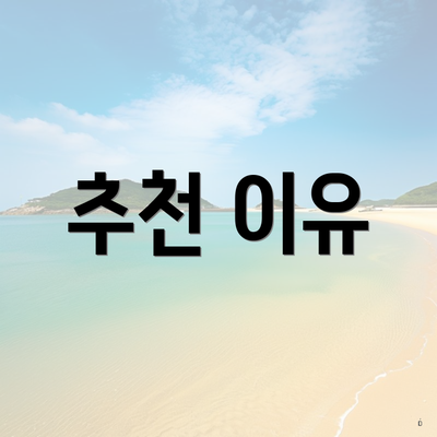 추천 이유
