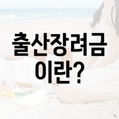 출산장려금 이란?