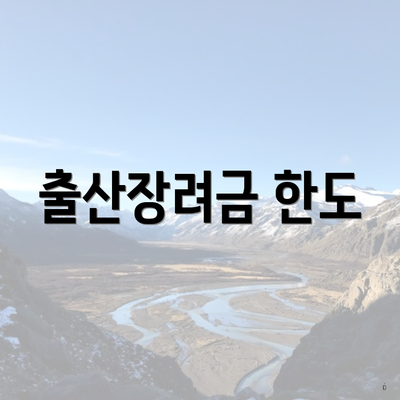 출산장려금 한도
