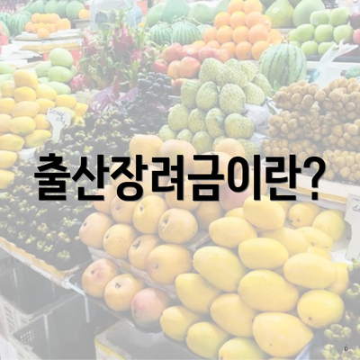출산장려금이란?