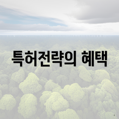 특허전략의 혜택