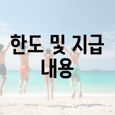 한도 및 지급 내용