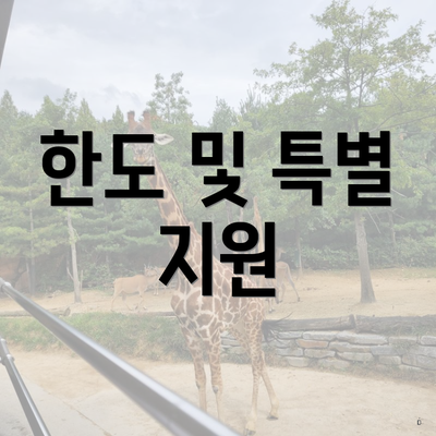한도 및 특별 지원