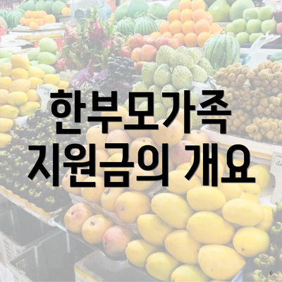 한부모가족 지원금의 개요