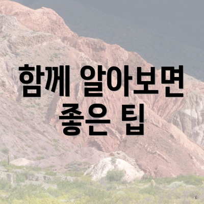 함께 알아보면 좋은 팁