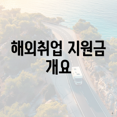 해외취업 지원금 개요
