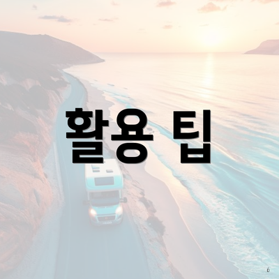 활용 팁