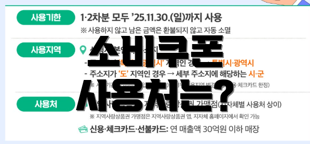 소비쿠폰 사용처는?