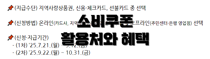 소비쿠폰 활용처와 혜택